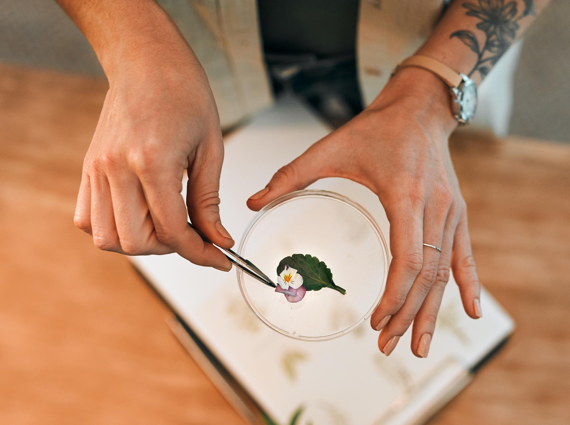 Step-by-step plating tutorial